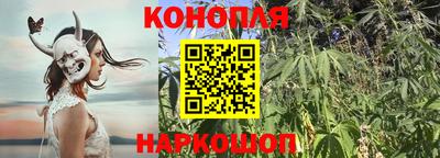 гашиш Лесосибирск