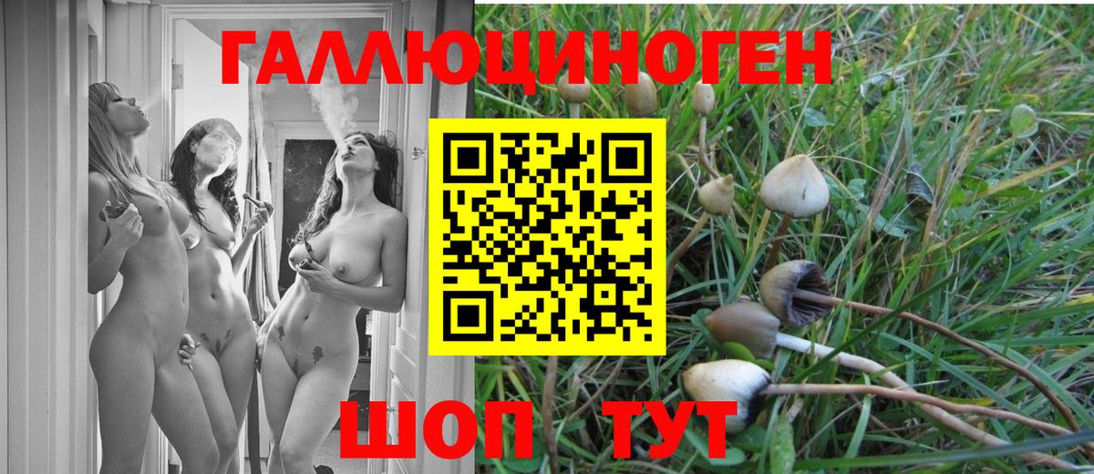 Галлюциногенные грибы мухоморы  Вход с VPN  Камень-на-Оби  Псилоцибиновые грибы мицелий 