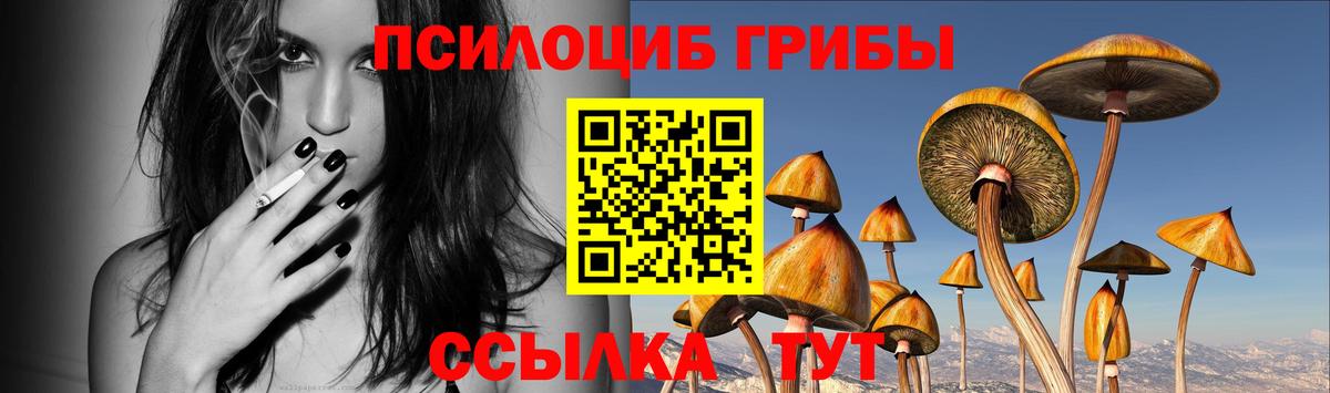 Псилоцибиновые грибы ЛСД Камень-на-Оби